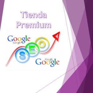 SEO Tienda Premium